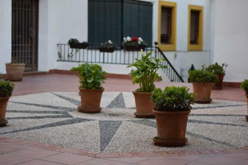 Apartamento Saravia Only Families
