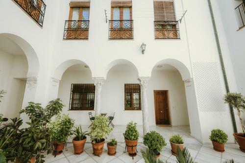Luxury & New Apartment Corredera
