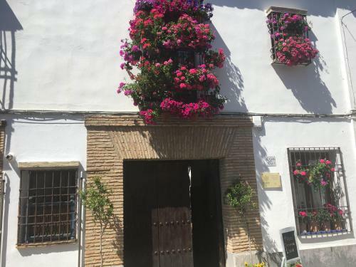 Apartamento Conde De Vallellano