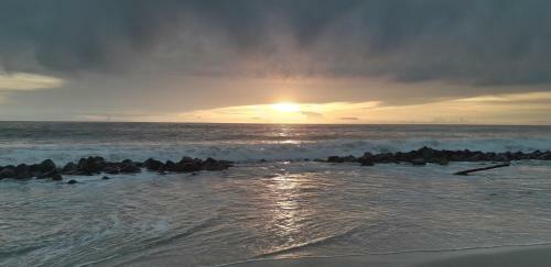 Whiteshore Beach Homestay Alappuzha
