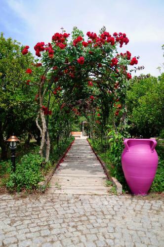 Hostal Olive Farm Of Datca Guesthouse