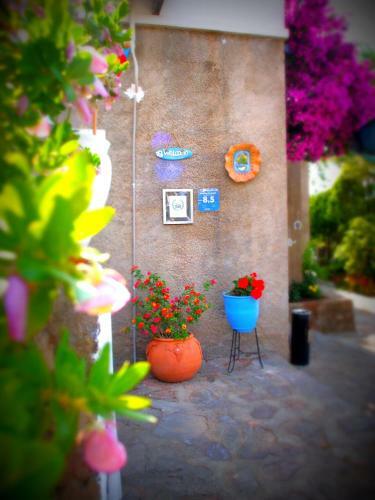 Panorama Hotel Bodrum