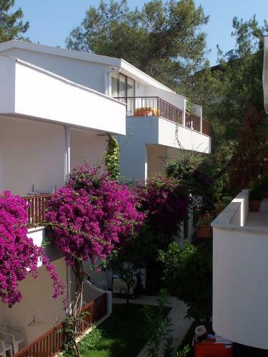 Hotel Club Boran Mare Beach