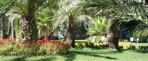 Hotel Club Boran Mare Beach