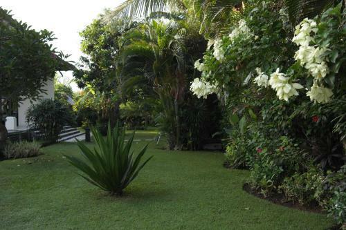 Villa Banjar Beach