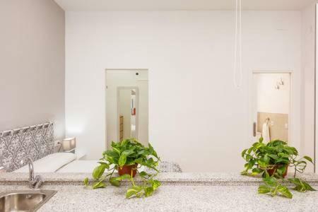 Apartamento Canadian 1