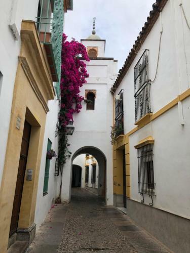 Apartamento El 5 De La Hoguera