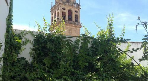 Entre 2 Mezquitas Apartamento 8