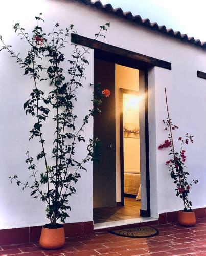 Apartamento D�plex El Espejo de La Mezquita