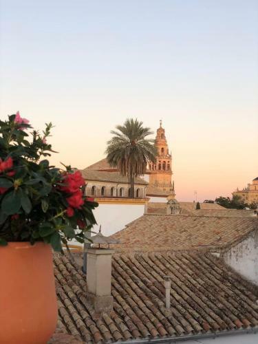 Apartamento D�plex El Espejo de La Mezquita