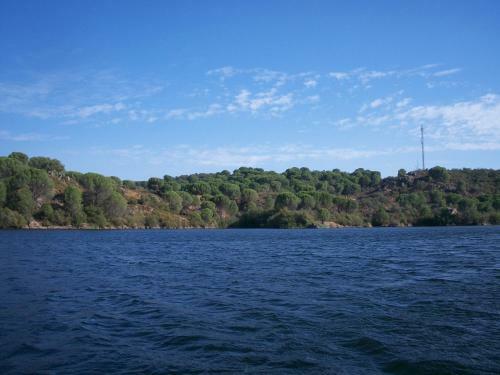 Caba�a De Madera Junto Al Lago Las Jaras