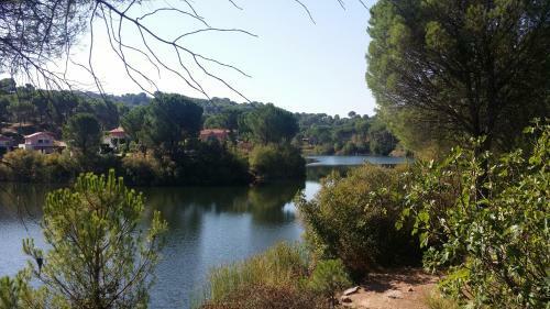 Caba�a De Madera Junto Al Lago Las Jaras