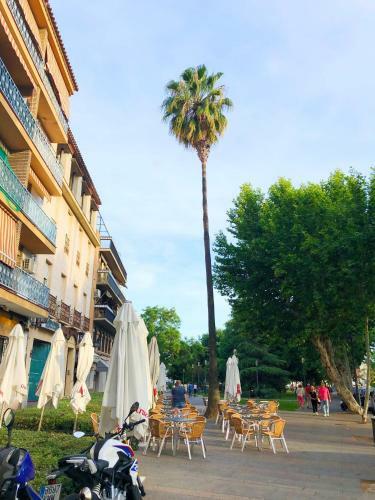Apartamento Paseo De La Victoria