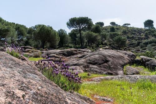 Casa El Rinc�n Del Lago Alojamiento Rural