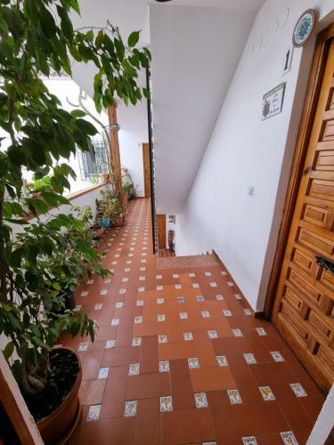 Apartamento Entre Patios San Basilio