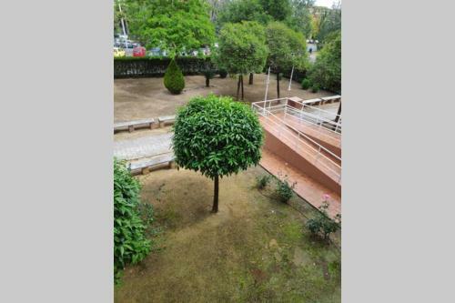Apartamento Alquiler Vacacional Carlos III