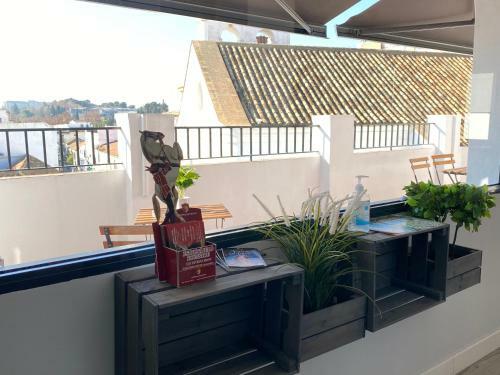Apartamento Atico Casa Lola