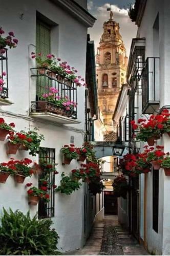 Apartamento Con Bbq Los Picadores