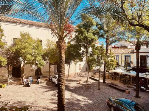 Precioso Apartamento En Plaza de Las Ca�as