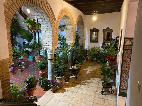 Apartamento El Patio De Regina