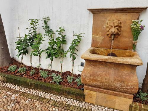 Apartamento Riad Mezquita de C�rdoba