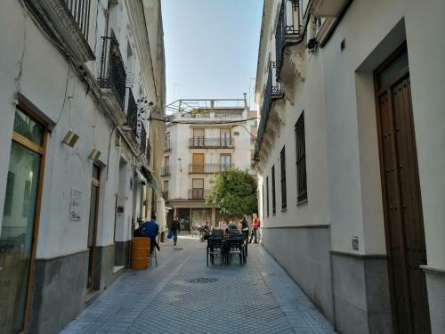 Apartamento "conde De Cardenas"