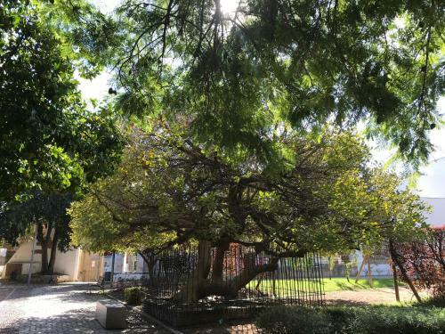 Apartamento Completo Regina