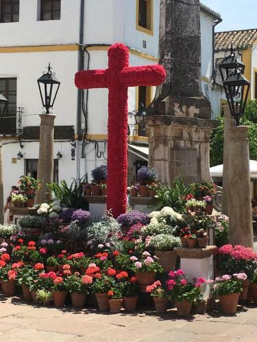 Apartamento Ribera Del Quivir
