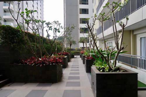 Bacup Studio Apartment @galeri Ciumbuleuit