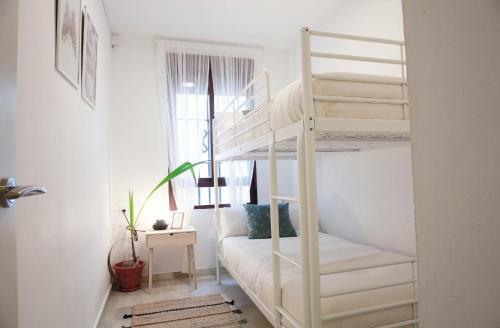 Apartamento Suny Mezquita