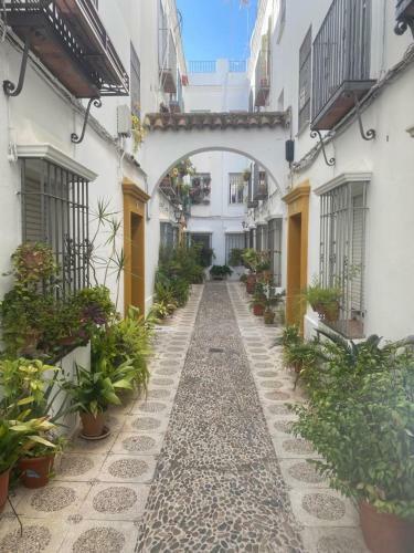 Apartamento Aptos.paniagua A Y B
