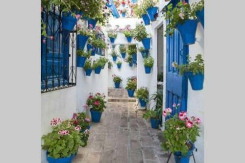 Apartamento Corredera House. Pleno Centro De C�rdoba