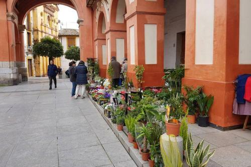 Apartamento San Pedro-corredera