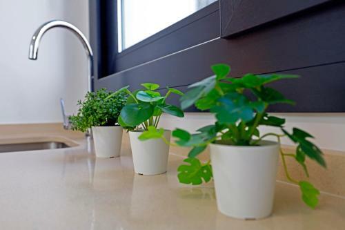 Apartamento Victoria Suites Terrace