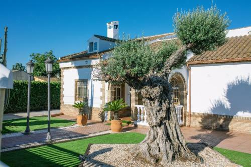 Apartamento Casa Rural El Olivo de C�rdoba