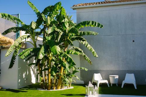 Apartamento Casa Rural El Olivo de C�rdoba
