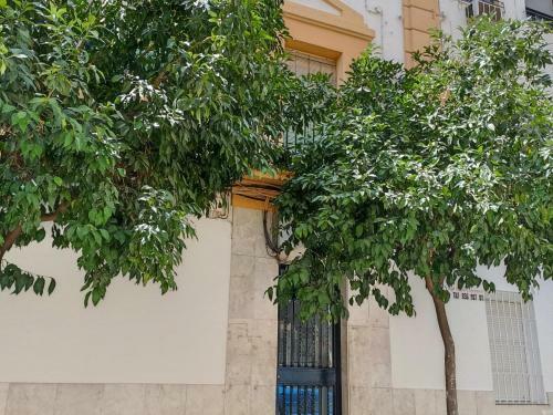 Modernos Apartamentos En Ciudad Jard�n C�rdoba