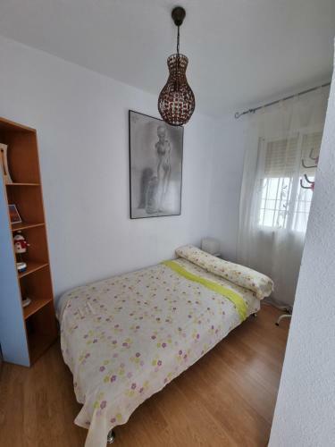 Apartamentos El Alcazar Viejo (san Basilio)