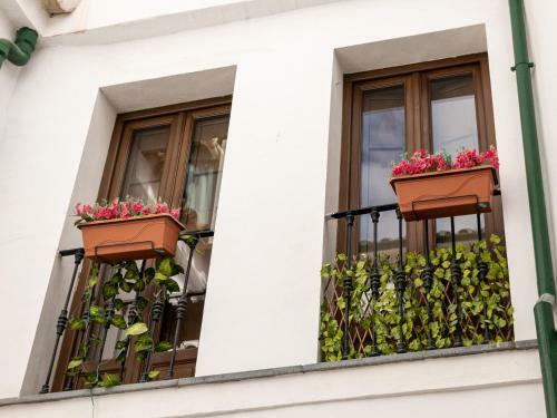 Apartamento Estudio San Pedro-corredera