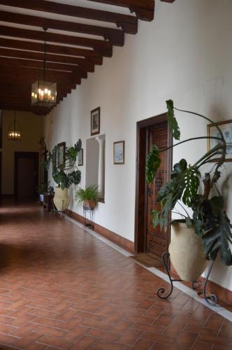 Apartamento C�rdoba Cool Vailima 2