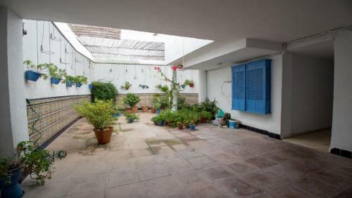 Apartamento Ilusi�n Andaluza