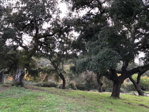 Agroturismo Cercado Forero