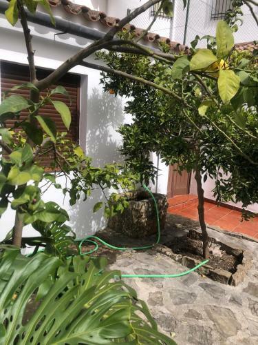Casa De Tita Dolores
