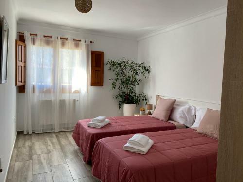 Agroturismo Zankueta Etxea