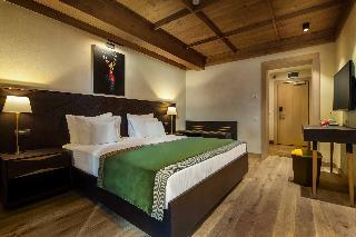 Bradul Hotel