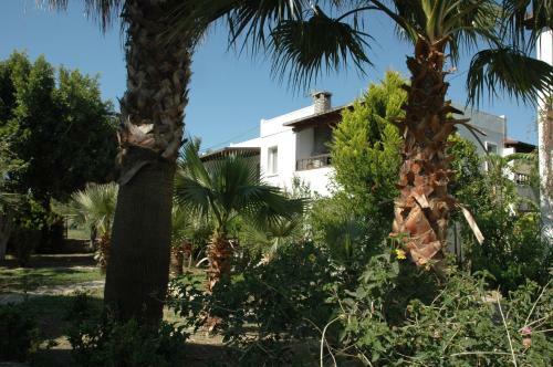Alfa Apartments
