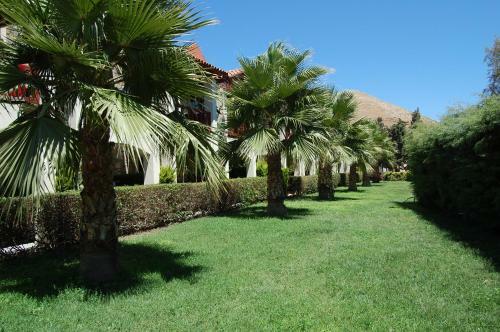 Hotel Tiana Beach Resort