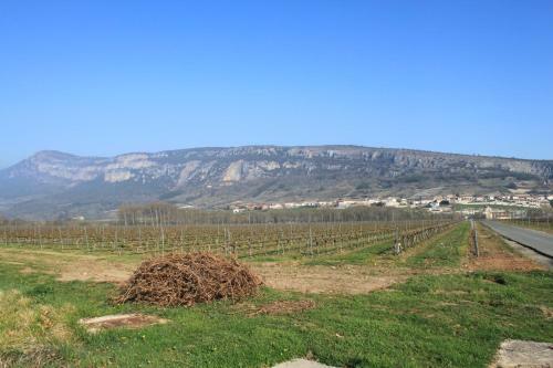 Agroturismo Casa Rural Bestetxea