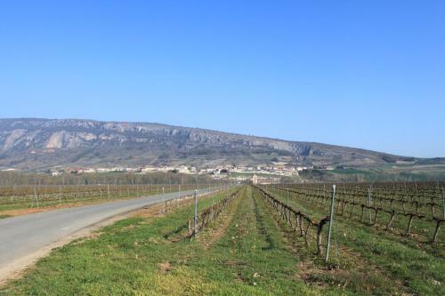 Agroturismo Casa Rural Bestetxea