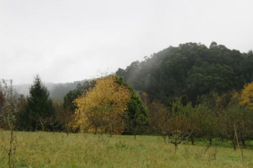 Albergue Hospeder�a San Jos�
